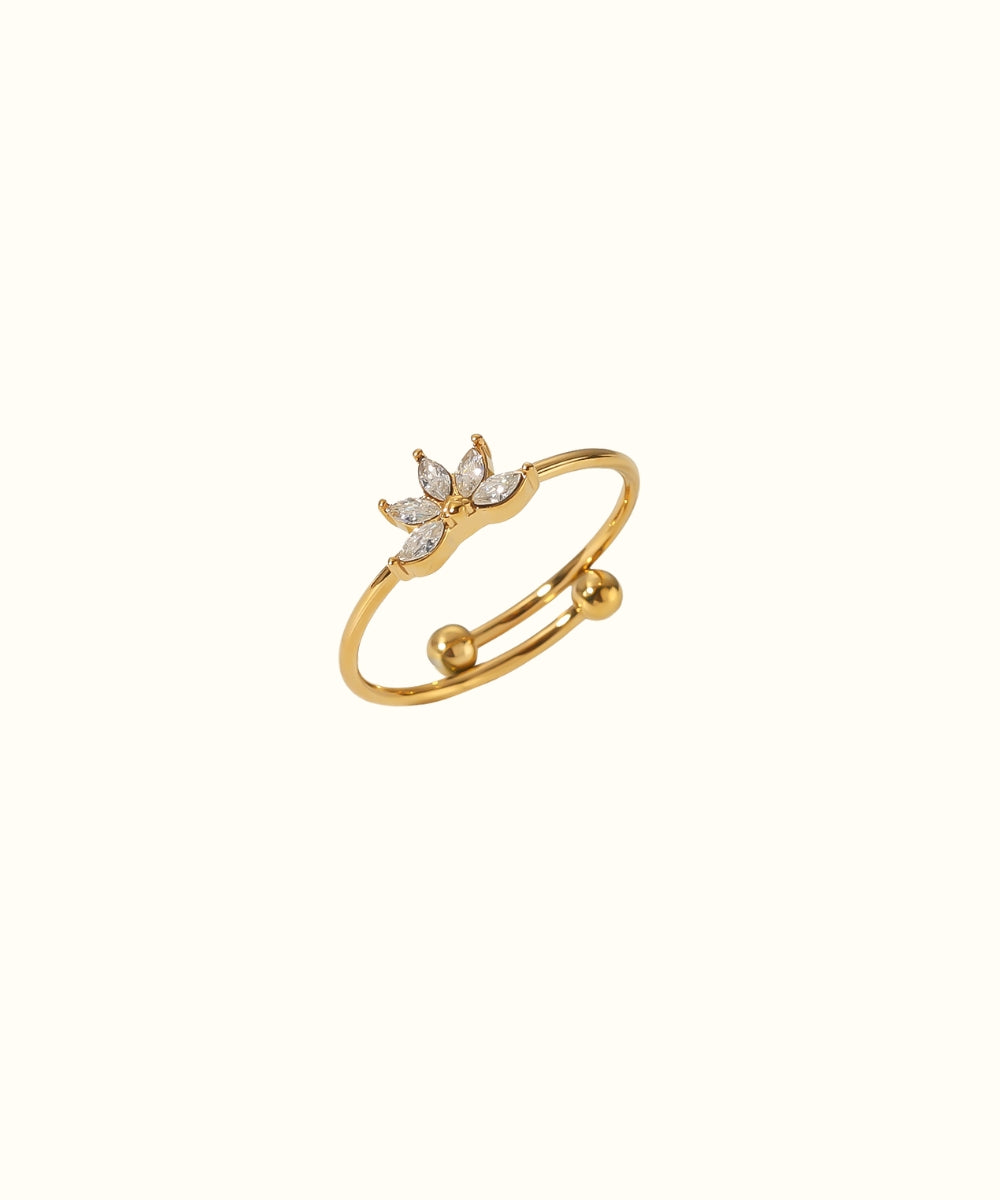 Anello Lobbi